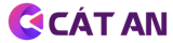 Thiết Kế Website Cát An